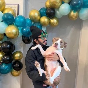 Meet your Posher, Rubens